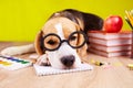 A beagle dog with glasses sleeps on a desk with school supplies.