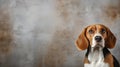Beagle dog portrait close up. Beagle dog. Horizontal banner poster background. Copy space. Photo texture AI generated