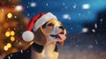 Beagle dog in red hat on festive christmas background with copy space