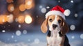 Beagle dog in red hat on festive christmas background with copy space