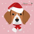 Beagle dog with red Santa`s hat