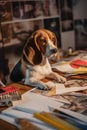 A beagle dog sitting on a desk next to a pile of papers. Generative AI image. Royalty Free Stock Photo