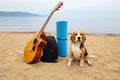 A beagle dog is sitting on a sandy beach by the sea.