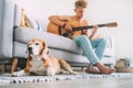 Beagle dog sleep lying on cozy carpet when his young master play Royalty Free Stock Photo