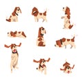 Beagle dog in various poses set, cute funny animal cartoon character vector Illustration on a white background Royalty Free Stock Photo
