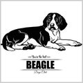 Beagle Dog - vector illustration for t-shirt, logo and template badges