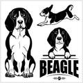 Beagle dog - vector set isolated illustration on white background Royalty Free Stock Photo