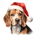 Beagle Dog Wearing a Santa Hat