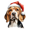 Beagle Dog Wearing a Santa Hat