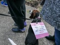 Beagle dog wears political anti-Trump sign