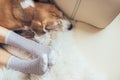 Beagle dog and woman relax together on comfortable sofa Royalty Free Stock Photo