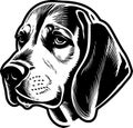 Beagle - high quality vector logo - vector illustration ideal for t-shirt graphic Royalty Free Stock Photo