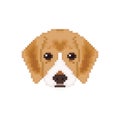 Beagle puppy head in pixel art style.