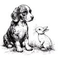 Beagle puppy and rabbit sitting together Royalty Free Stock Photo