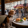 A beagle sits at a cafÃ© table in a Parisian setting, inside a rain-speckled window. Royalty Free Stock Photo