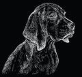 Black Beagle vector hand drawing portrait