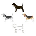 Beagle vector icon in cartoon,black style for web