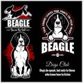 Beagle - vector set for t-shirt, logo and template badges