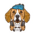 Cool gamer beagle dog pet vector illustration. Isolated on white background