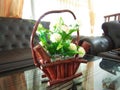 Beaitiful sitting room flower-vase of sri pankan modern home photos