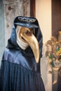 Beak doctor venetian mask