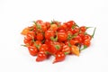 Beak Peppers in white background isolated