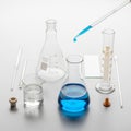 A beaker, Erlenmeyer flask, and graduated cylinder. The beaker Royalty Free Stock Photo