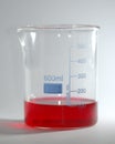 Beaker of Red Liquid Royalty Free Stock Photo