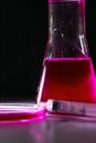 Beaker and retort with red with chemical reagent. Chemical experiment with Laboratory glass Royalty Free Stock Photo