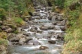 Bealey River at Devil`s Punchbowl Waterfall walking track, Arthur`s Pass, New Zealand Royalty Free Stock Photo