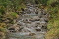 Bealey River at Devil`s Punchbowl Waterfall walking track, Arthur`s Pass, New Zealand Royalty Free Stock Photo