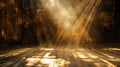 a beam backdrop with soft, diffused lighting, providing a warm