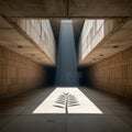 A beam of light illuminates a plant shadow on the floor of a concrete corridor Royalty Free Stock Photo