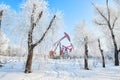 The beam pumping unit in the undefiled world Royalty Free Stock Photo