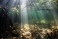 Beams of Sunlight in Mangrove Forest Underwater Royalty Free Stock Photo