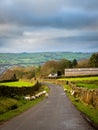 Swaledale sheep roaming free on a country road Royalty Free Stock Photo