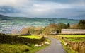 Swaledale sheep roaming free on a country road Royalty Free Stock Photo