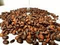 Bean coffeebeans whitebackground brownbeans Royalty Free Stock Photo