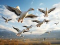 Bean geese in flight