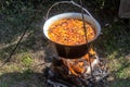 Bean goulash in a cauldron Royalty Free Stock Photo