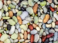 10 Bean Mix, soaked mixed beans. Vegan background Royalty Free Stock Photo