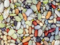 10 Bean Mix, soaked mixed beans. Vegan background Royalty Free Stock Photo