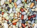 10 Bean Mix, soaked mixed beans. Vegan background Royalty Free Stock Photo