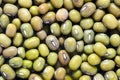 Bean mung agriculture green seeds closeup food texture background. Mung bean known as green gram, maash, moong, monggo