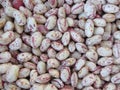 Bean rounded with red specks texture background. The beans are cultivated with biological agriculture in Tuscany, Italy