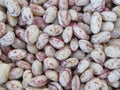 Bean rounded with red specks texture background. The beans are cultivated with biological agriculture in Tuscany, Italy