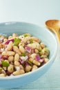 Bean Salad in a Bowl Royalty Free Stock Photo