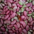 Bean seed, vegetable