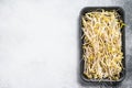 Bean sprout in black plastic container. White background. Top view. Copy space Royalty Free Stock Photo