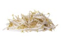 Bean Sprouts Isolated Royalty Free Stock Photo